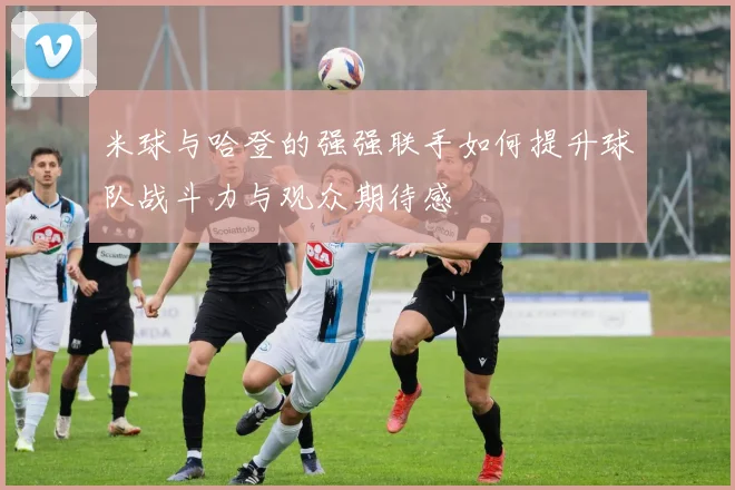 米球与哈登的强强联手如何提升球队战斗力与观众期待感